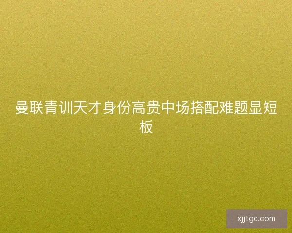曼联青训天才身份高贵中场搭配难题显短板